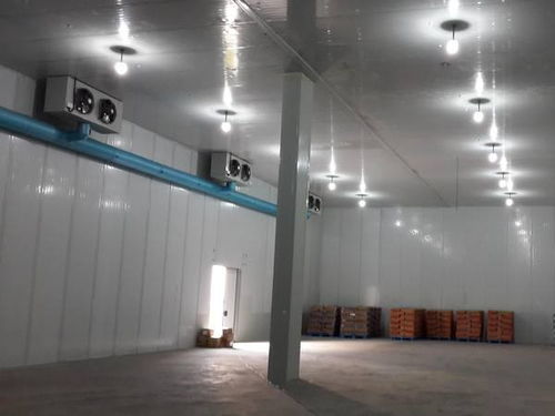 沂星制冷设备 专业速冻冷库出租与保鲜冷藏设备解决方案